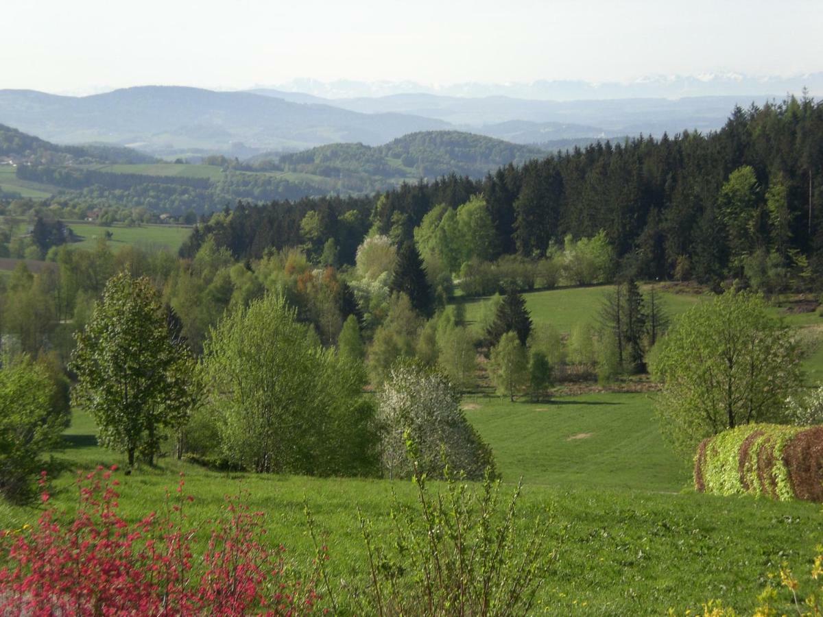 Ferienwohnungen Pichler Hohenau Екстериор снимка